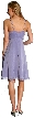 Spaghetti Strap Shirred Chiffon Party Dress — back