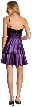 Sequined & Ribbon Bow Short Party Dress — back