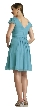 Modest Half Sleeves Pleated Short Party Dress — back