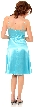 Glossy Short Prom Dress with Flower Applique — back