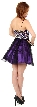 Sequined Spaghetti Strapped Mini Prom Dress — back in Black/Purple