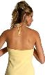 Halter-Neck Slim Fitting Silhouette Evening Dress — back