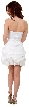 Ruche Bubble Party Dress — back