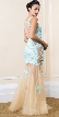 Exquisite Floral Lace Tulle Skirt Long Prom Pageant Dress — back
