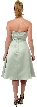 Strapless Satin Short Evening Dress — back