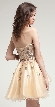  — back