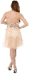 Strapless Mesh Prom Dress with Stones — back