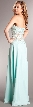 Strapless Vintage Look Floral Bodice Long Formal Prom Dress — back