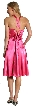 V Neck Short Prom Dress — back