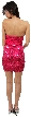 Fully Sequined Short Party Dress with Detail Waistband — back