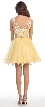 Patterned Sheer Neckline Tulle Short Party Prom Dress — back