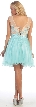 Floral Pattern Bodice Short Tulle Party Prom Dress — back