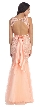 Lace Bodice Mermaid Mesh Skirt Long Formal Prom Dress — back