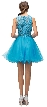 Embroidered Lace Top Baby Doll Short Homecoming Party Dress — back
