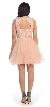 Floral Bust Babydoll Short Tulle Homecoming Party Dress — back in Blush
