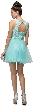 Floral Bust Babydoll Short Tulle Homecoming Party Dress — back