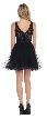 Lace Bodice Jewel Waist Short Tulle Homecoming Party Dress — back