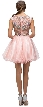 Bejeweled Mesh Bodice Cap Sleeves Short Baby Doll Dress — back