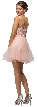 Embroidered Illusion Bodice Short Mesh Homecoming Dress — back
