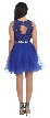 Lace Top Tulle Skirt Short Homecoming Party Dress — back