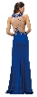 Embroidered Lace Sheer Bodice Floor Length Prom Dress — back