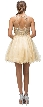 Beaded Bust Tulle Skirt Short Homecoming Party Dress — back