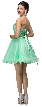 Strapless Lace Bodice Tulle Short Homecoming Party Dress — back in Mint