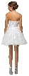 Strapless Lace Bodice Tulle Short Homecoming Party Dress — back