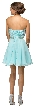 Strapless Lace Bust Short Homecoming Party Dress — back