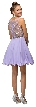 Sparkling Jewels Bodice Short Homecoming Party Dress — back