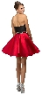 Strapless Sweetheart Two Tone Short Homecoming Party Dress — back