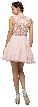 Illusion Sweetheart Neck Short Tulle Homecoming Party Dress — back in Blush