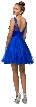 Illusion Sweetheart Neck Short Tulle Homecoming Party Dress — back