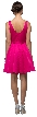 V-Neck Fit & Flare Short Homecoming Party Dress — back