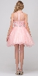 High Neck Bejeweled Bodice Mesh Short Homecoming Dress — back
