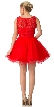Beaded Lace Bust Mesh Babydoll Skirt Short Dress — back