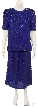 Two Piece Fully Sequined Blouse and Skirt Set 