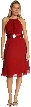 Double Strapped Brooch Party Dress