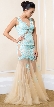 Exquisite Floral Lace Tulle Skirt Long Prom Pageant Dress
