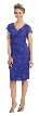 V-Neck Short Sleeves Short Formal Party Dress in Lace — in Royal Blue