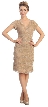 V-Neck Short Sleeves Short Formal Party Dress in Lace — in Taupe