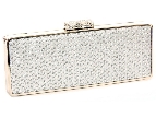 Rain Drops Evening Bag
