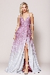 Double Spaghetti A Line Prom Gown — in Rose