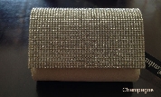 Rhinestones Flap Evening Bag in Polyester Satin — in Champaign