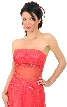 Semi See-Thru Mid Bodice Beaded Prom Dress — in closeup