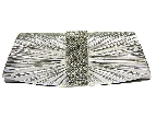 Star Struck Evening Bag