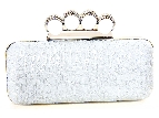 Metal Frame Elegant Evening Bag in Silver