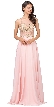Lace Accent Sheer Mesh Bodice Long Prom Dress. — in Blush