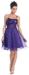 Sequin Bodice Crystal Mesh Skirt Short Party Dress