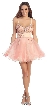 V-Neck Spaghetti Straps Short Mesh Party Prom Dress — in Light Peach